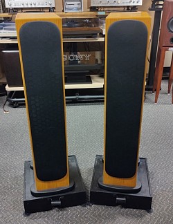 Monitor Silver RS-8