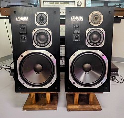 Yamaha NS-500M