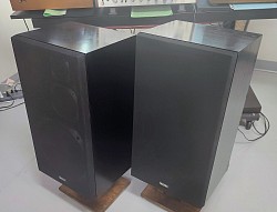 Yamaha NS-500M