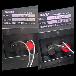 Yamaha NS-500M