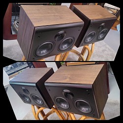 Snell THX/ICS-1000