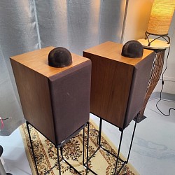 B&W DM-17 Limited Edition